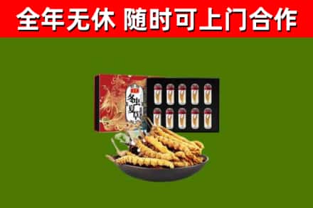 壤塘回收冬虫夏草价格